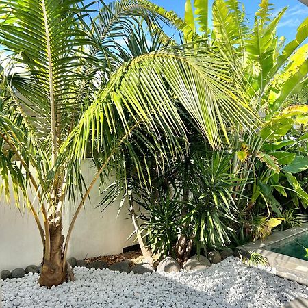 Le Yucca 974 By J&V Villa Saint Pierre Exterior foto