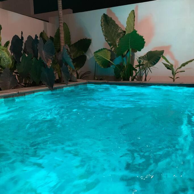Le Yucca 974 By J&V Villa Saint Pierre Exterior foto
