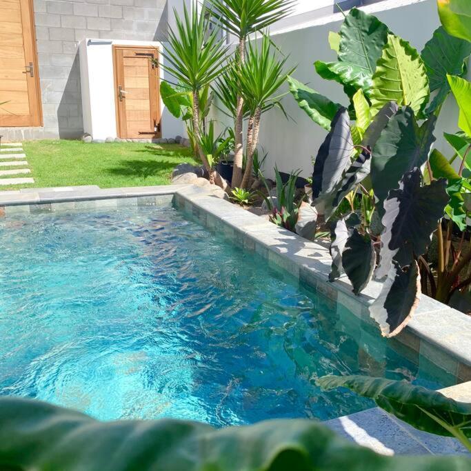 Le Yucca 974 By J&V Villa Saint Pierre Exterior foto