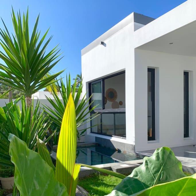 Le Yucca 974 By J&V Villa Saint Pierre Exterior foto