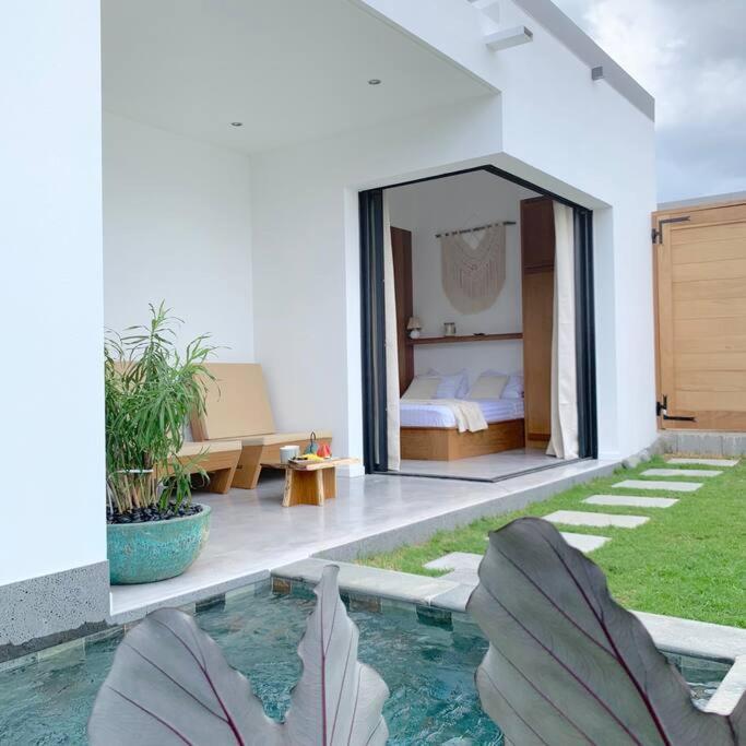 Le Yucca 974 By J&V Villa Saint Pierre Exterior foto