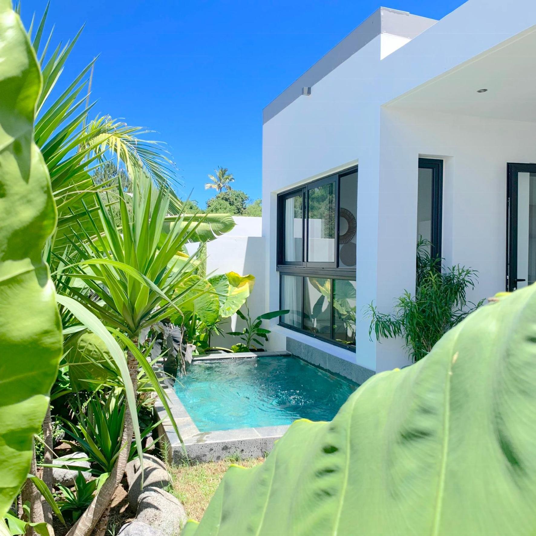 Le Yucca 974 By J&V Villa Saint Pierre Exterior foto