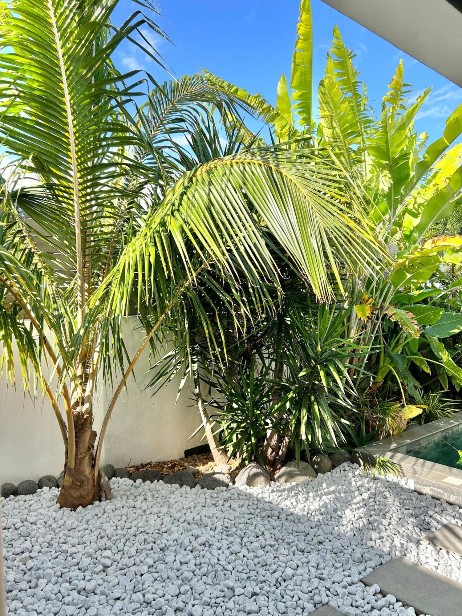 Le Yucca 974 By J&V Villa Saint Pierre Exterior foto