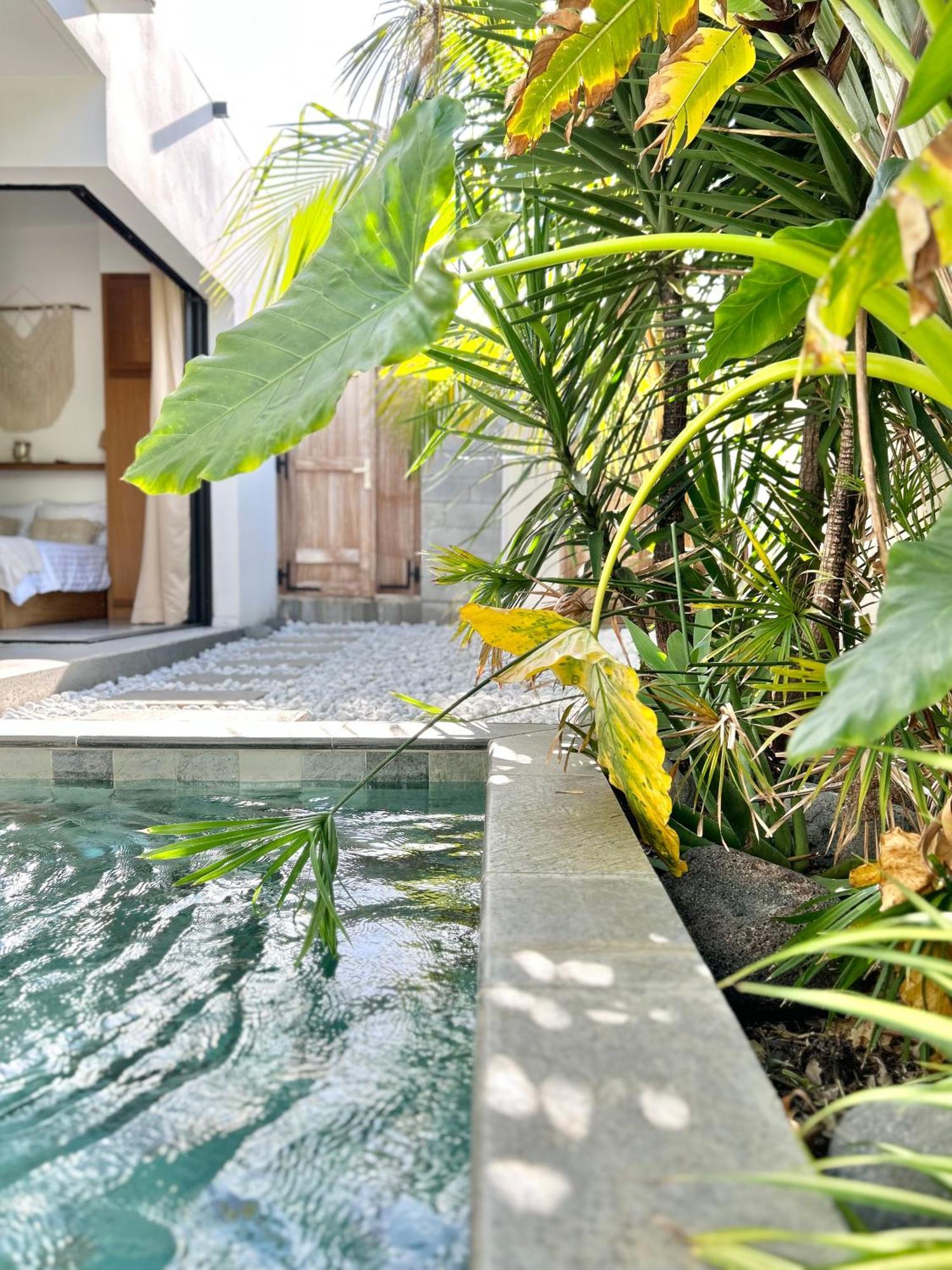 Le Yucca 974 By J&V Villa Saint Pierre Exterior foto